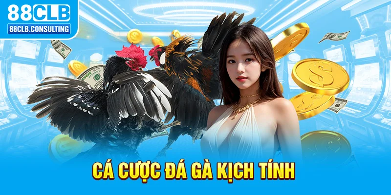 Cá cược đá gà kịch tính