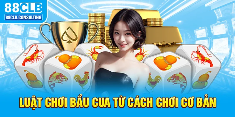 Luật chơi Bầu Cua từ cách chơi cơ bản